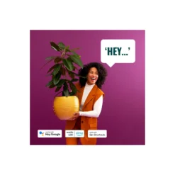 Dubbelpack 2x WiZ Smart LED E14 Kronljus Matt 5W 470lm | Bästa Färgåtergivning - Dimbar - Ersättare 40W