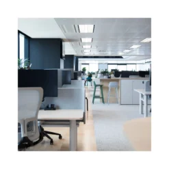 Noxion LED Panel Delta Value V5 Backlit 28W 3920lm - 830/840 CCT | 120x30cm - UGR <19 - Dali Dimbar