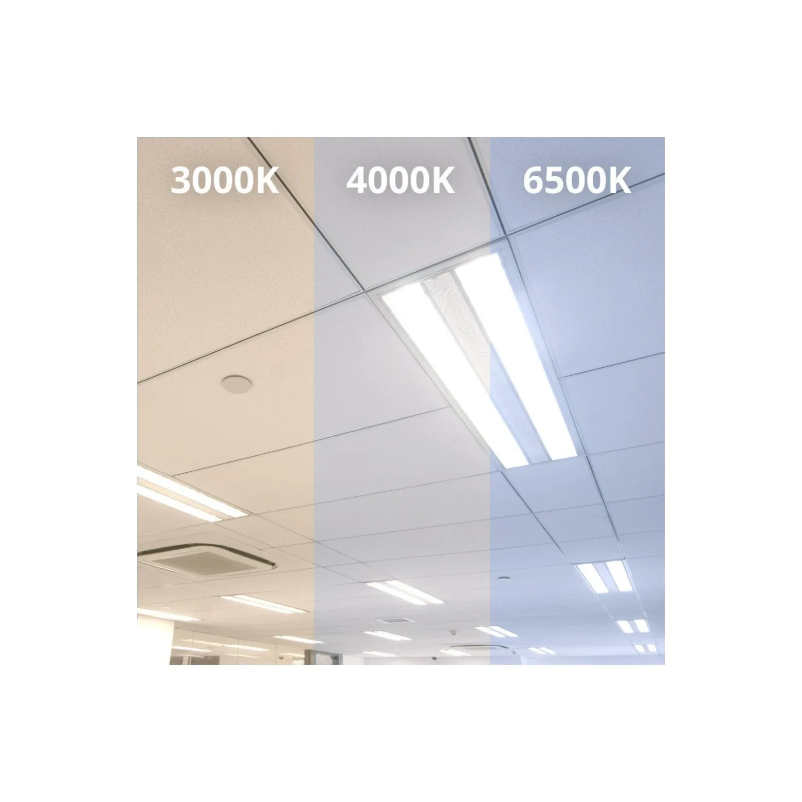 Noxion LED Rör T8 Avant (EM/Mains) Standard Output 19W 2300lm - 865 Dagsljus | 150cm - Ersättare 58W