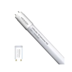 Noxion LED Rör T8 Avant Extreme (EM/Mains) High Output 8.2W 1150lm - 840 Kallvit | 60cm - Ersättare 18W